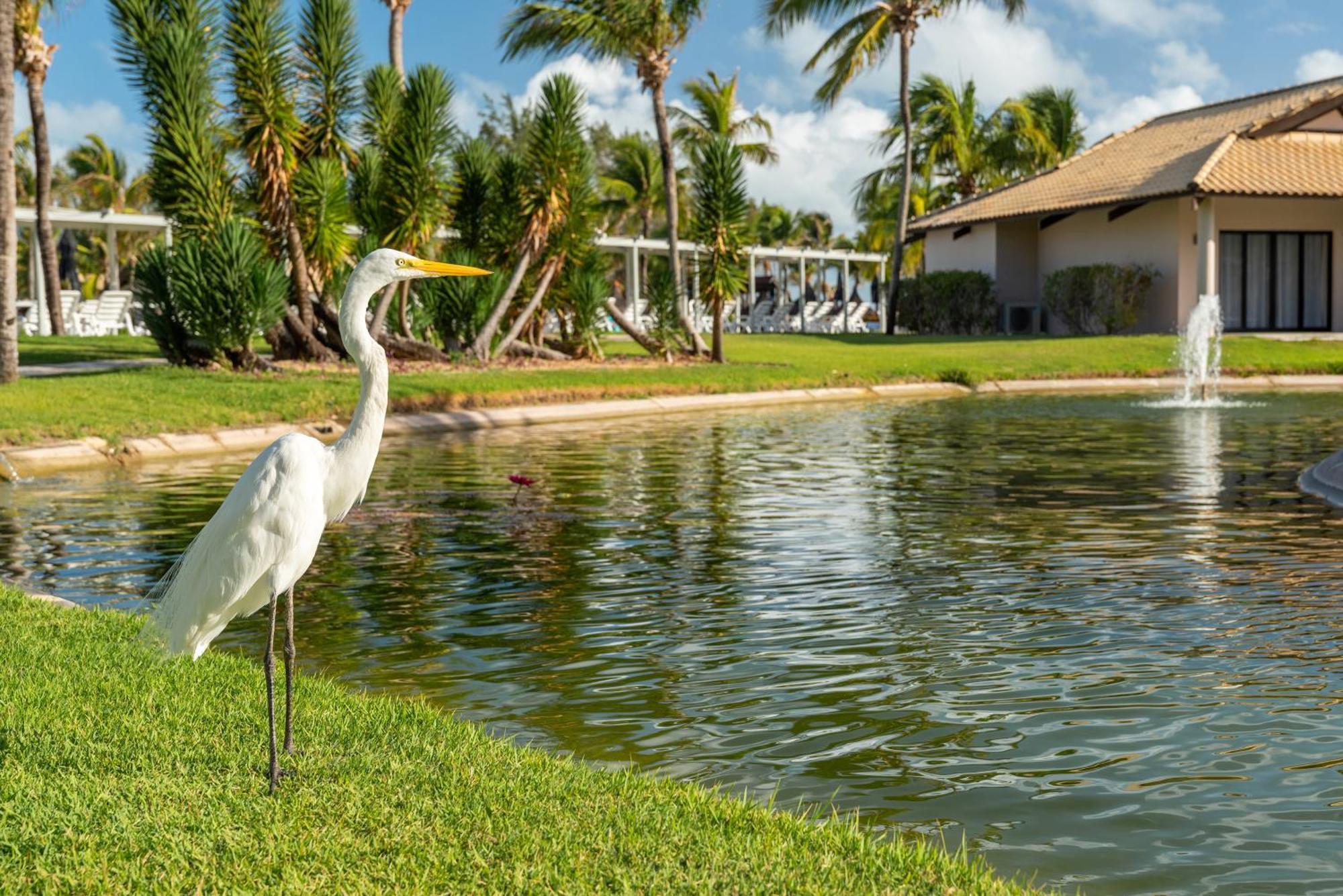 Vila Gale Resort Cumbuco Каукая Екстериор снимка